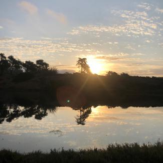 andrea's photo of a sunset over the lagoon